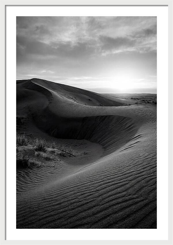 Curonian Spit Dunes At Dusk