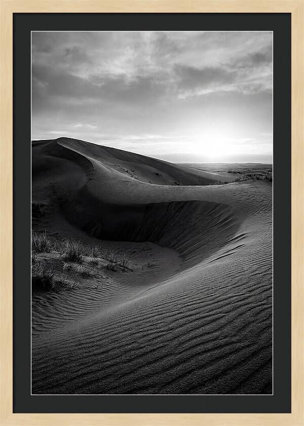 Curonian Spit Dunes At Dusk