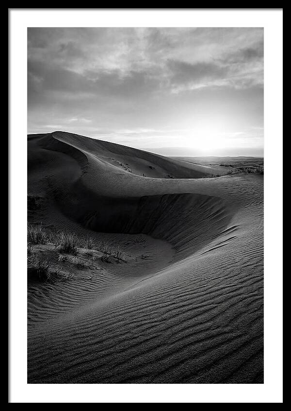 Curonian Spit Dunes At Dusk