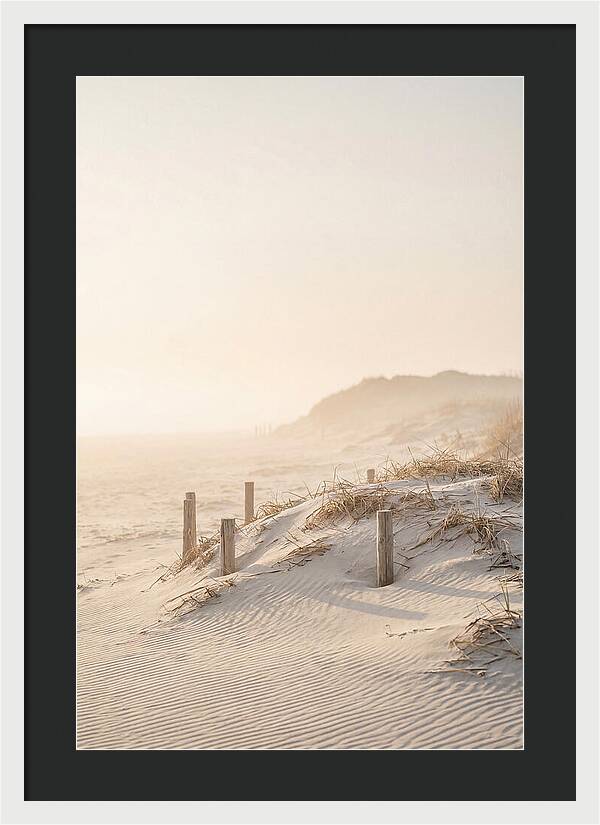 Curonian Spit Dunes At Golden Hour