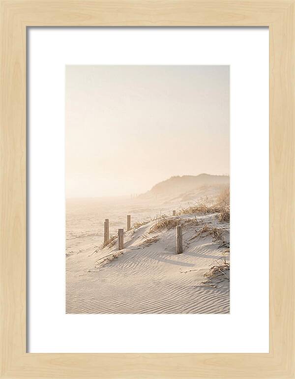 Curonian Spit Dunes At Golden Hour