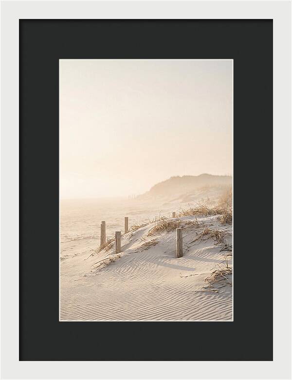 Curonian Spit Dunes At Golden Hour