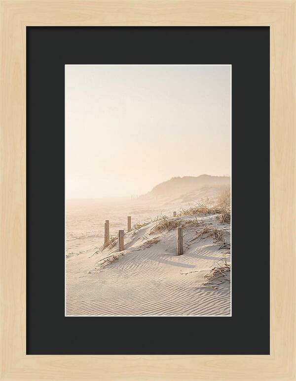 Curonian Spit Dunes At Golden Hour