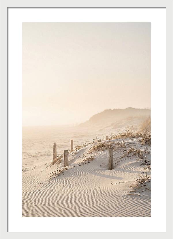 Curonian Spit Dunes At Golden Hour