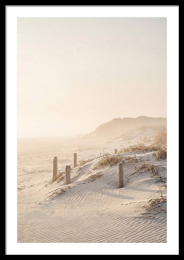 Curonian Spit Dunes At Golden Hour