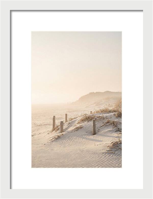 Curonian Spit Dunes At Golden Hour
