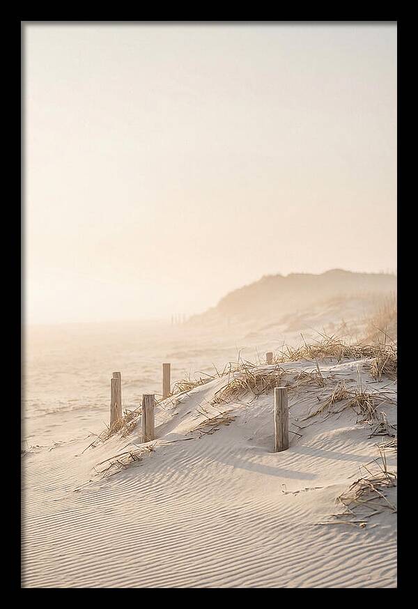 Curonian Spit Dunes At Golden Hour