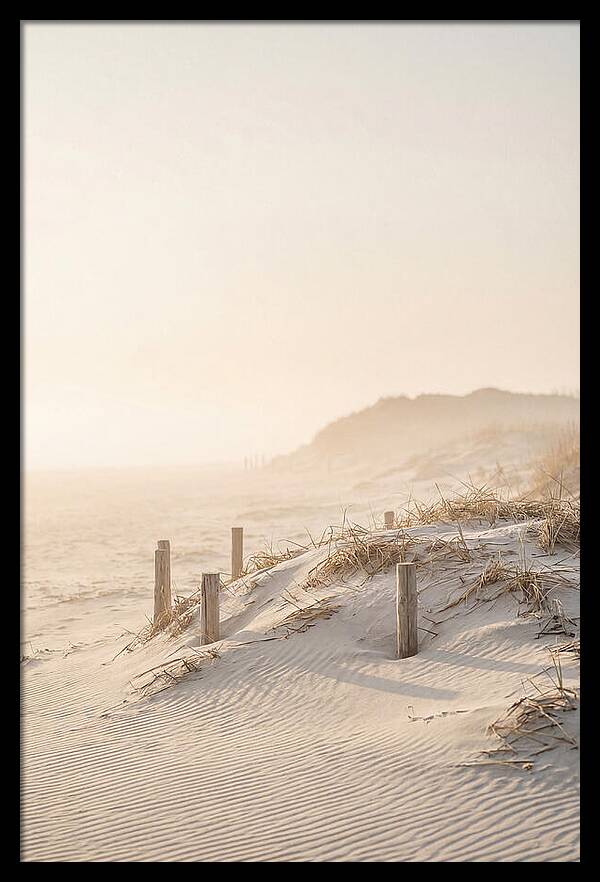 Curonian Spit Dunes At Golden Hour