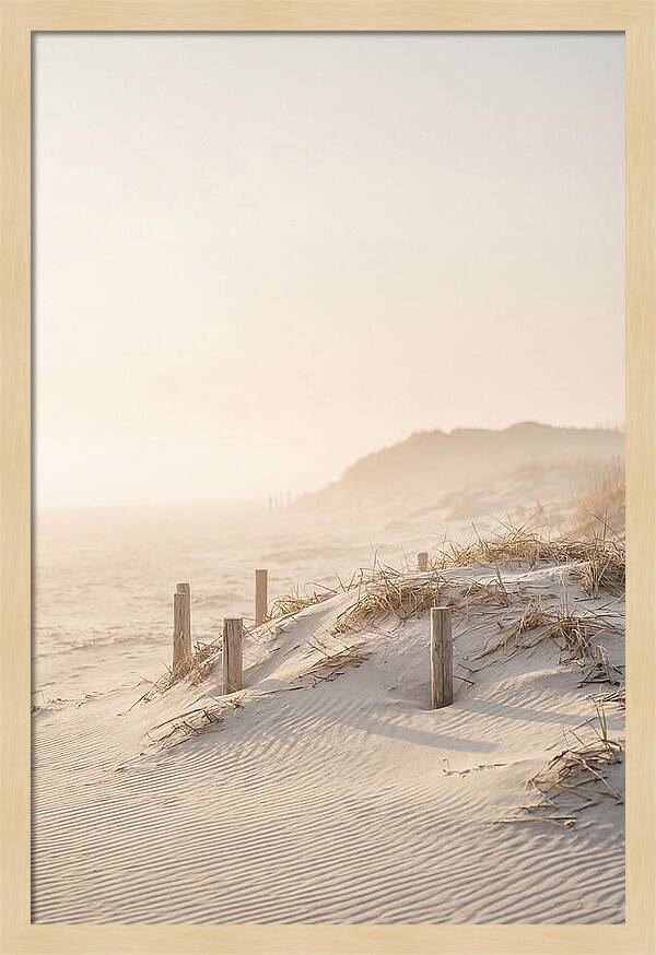 Curonian Spit Dunes At Golden Hour
