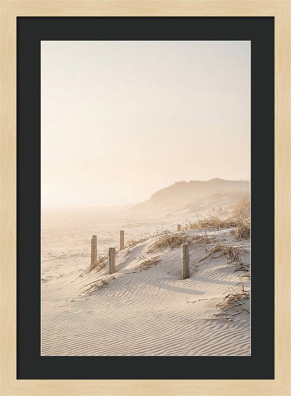 Curonian Spit Dunes At Golden Hour