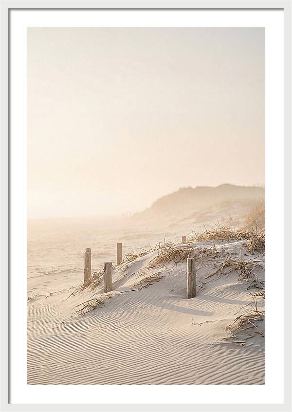 Curonian Spit Dunes At Golden Hour