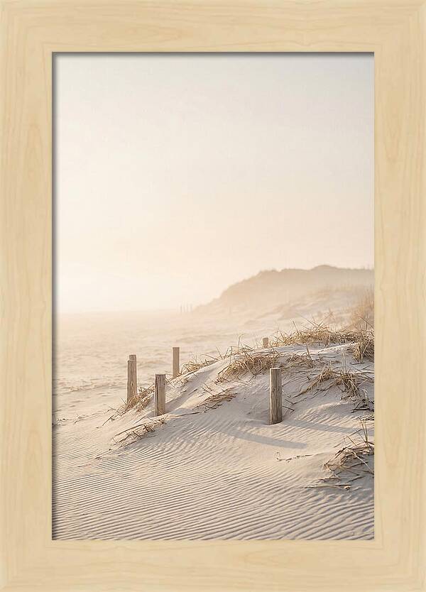 Curonian Spit Dunes At Golden Hour