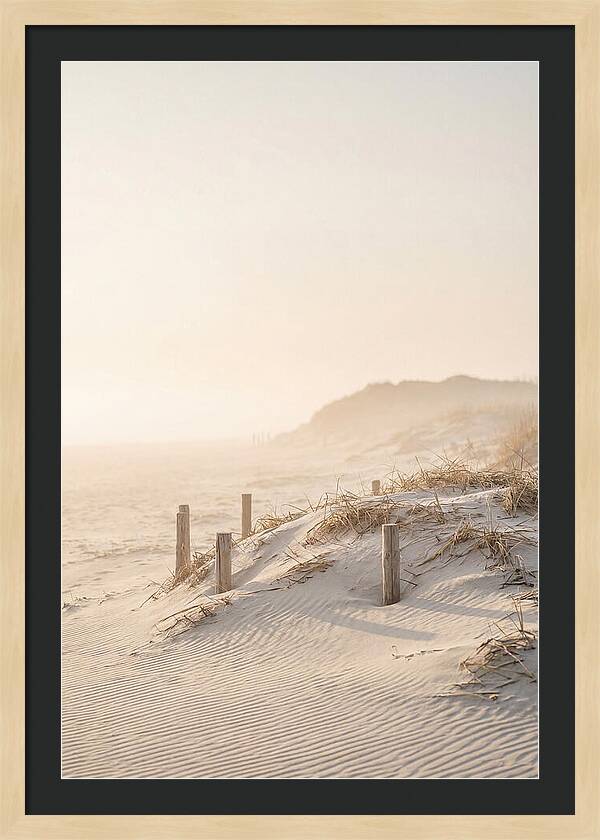 Curonian Spit Dunes At Golden Hour