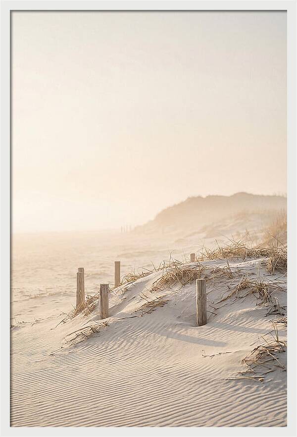 Curonian Spit Dunes At Golden Hour