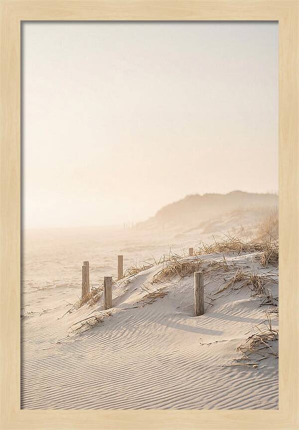 Curonian Spit Dunes At Golden Hour