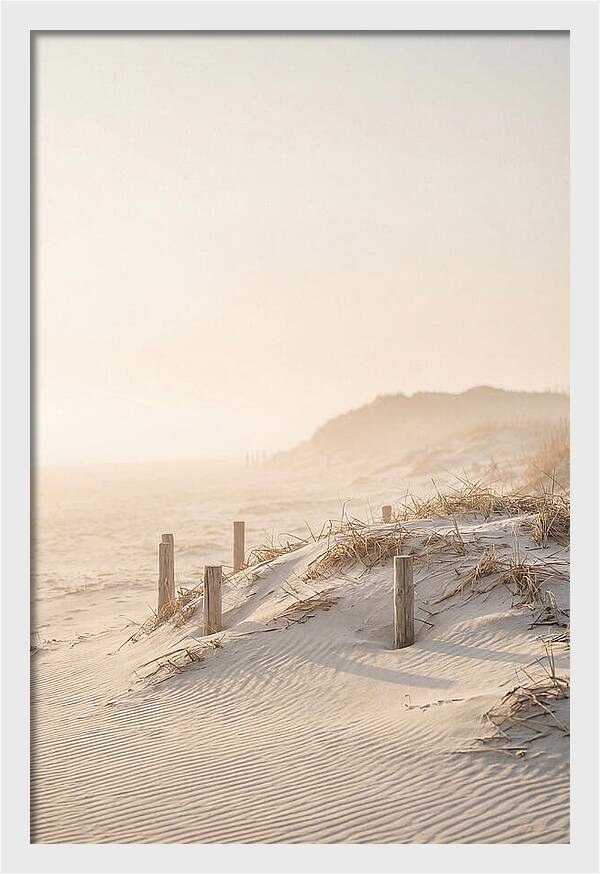 Curonian Spit Dunes At Golden Hour