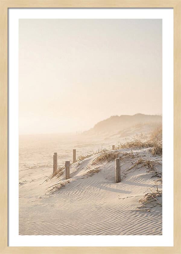 Curonian Spit Dunes At Golden Hour