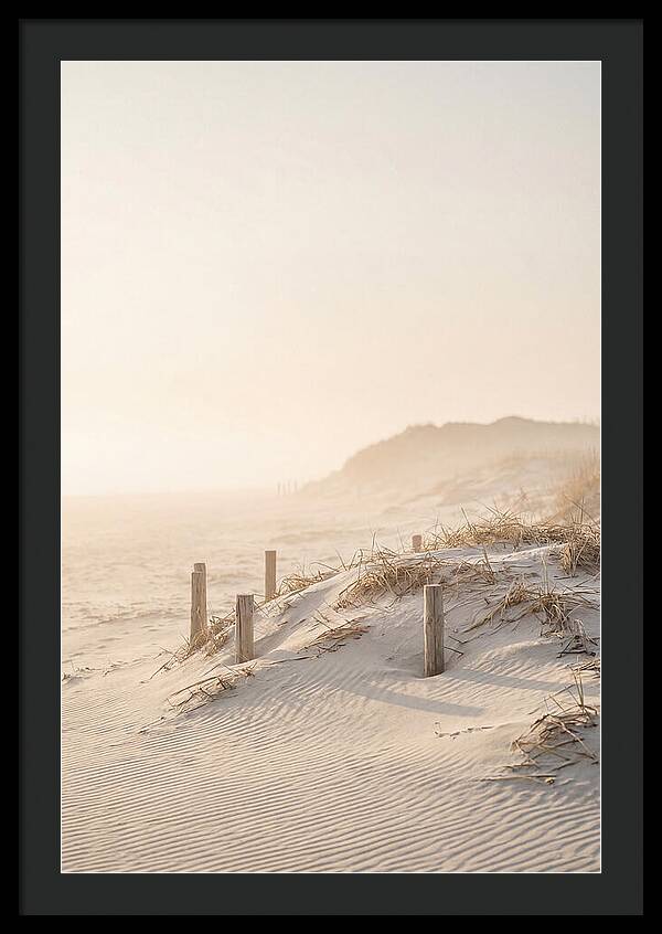 Curonian Spit Dunes At Golden Hour