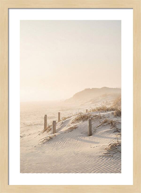 Curonian Spit Dunes At Golden Hour