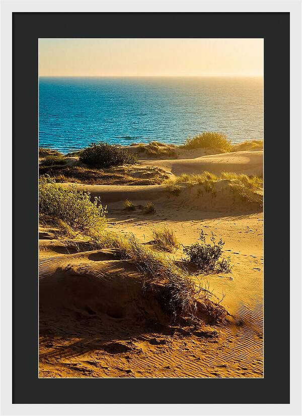 Curonian Spit Dunes At Sunset