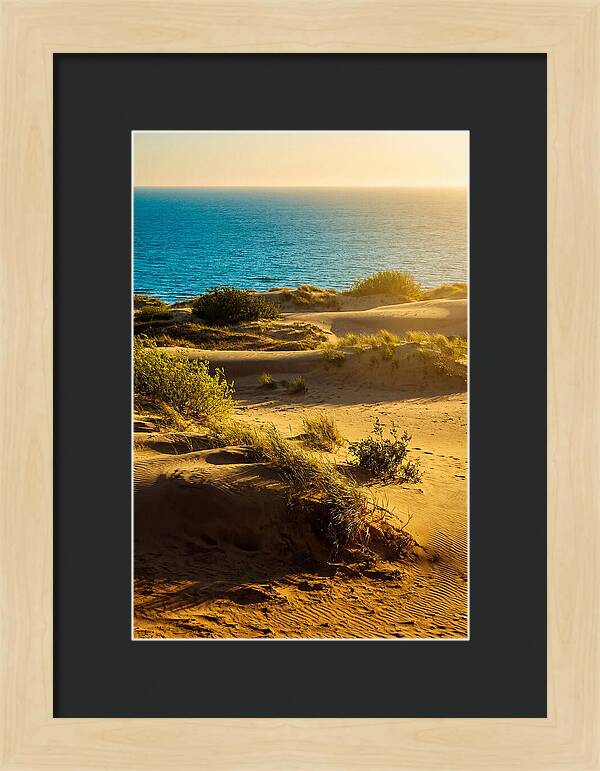 Curonian Spit Dunes At Sunset