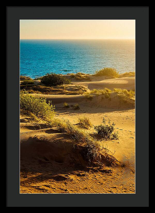 Curonian Spit Dunes At Sunset