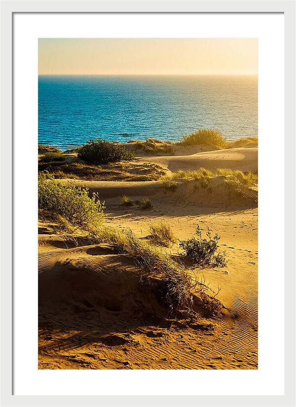 Curonian Spit Dunes At Sunset