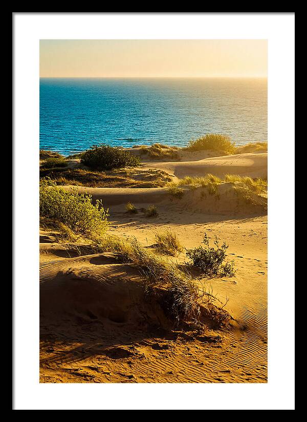 Curonian Spit Dunes At Sunset