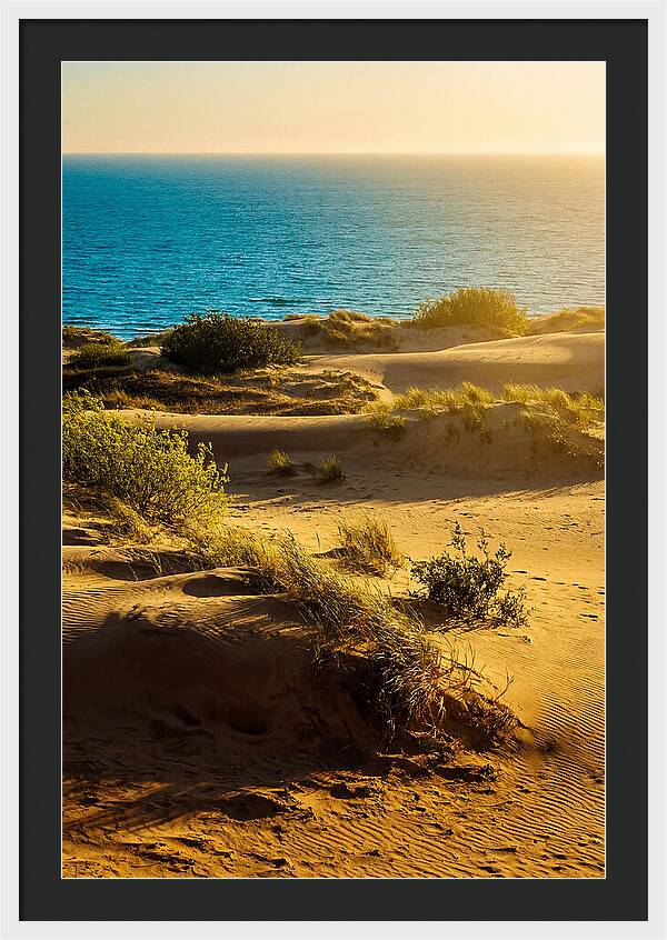 Curonian Spit Dunes At Sunset
