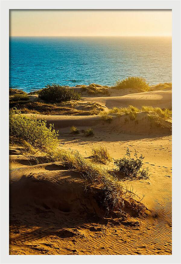 Curonian Spit Dunes At Sunset