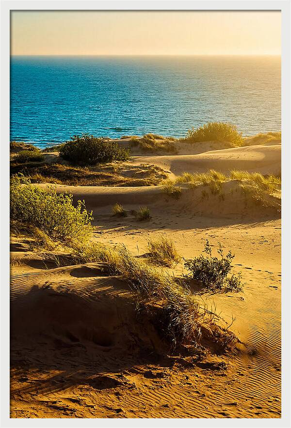 Curonian Spit Dunes At Sunset
