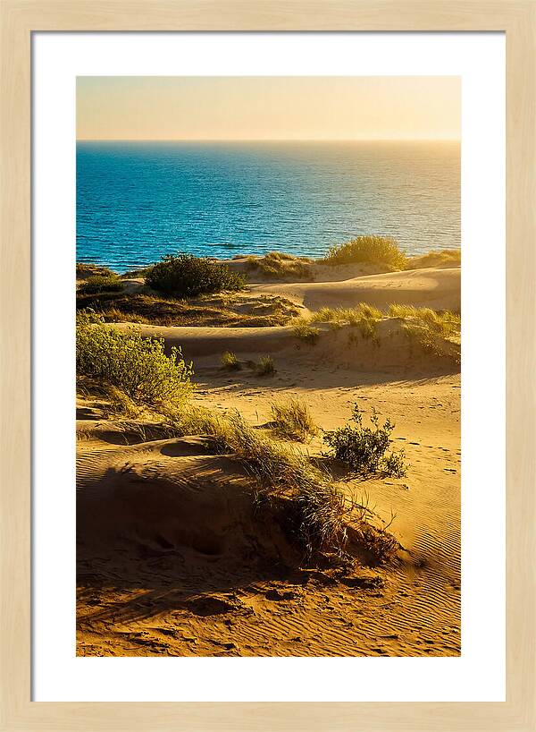 Curonian Spit Dunes At Sunset