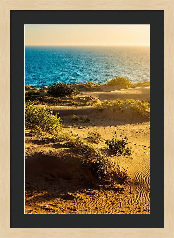 Curonian Spit Dunes At Sunset