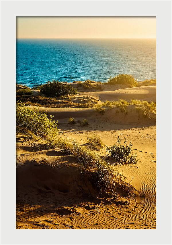 Curonian Spit Dunes At Sunset