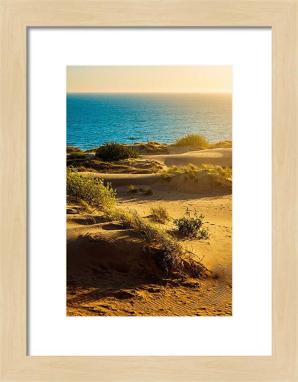 Curonian Spit Dunes At Sunset