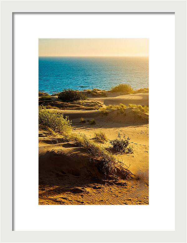 Curonian Spit Dunes At Sunset