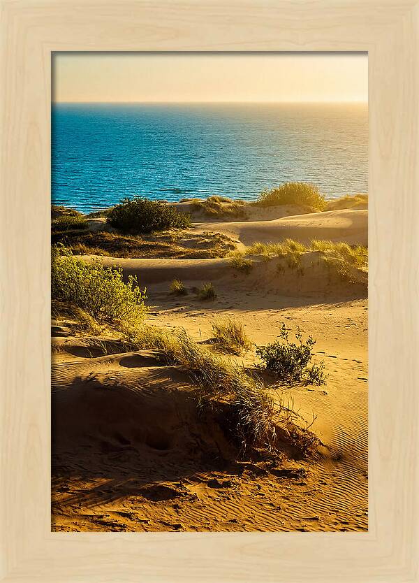 Curonian Spit Dunes At Sunset