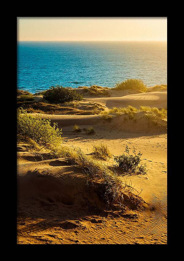 Curonian Spit Dunes At Sunset