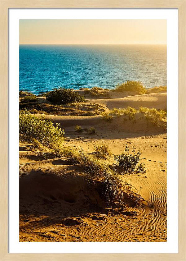 Curonian Spit Dunes At Sunset