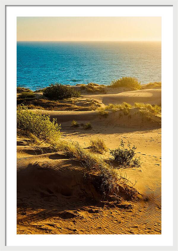 Curonian Spit Dunes At Sunset