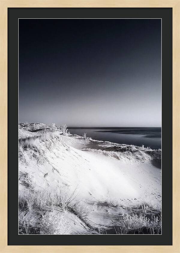 Curonian Spit Sand Dunes At Dusk
