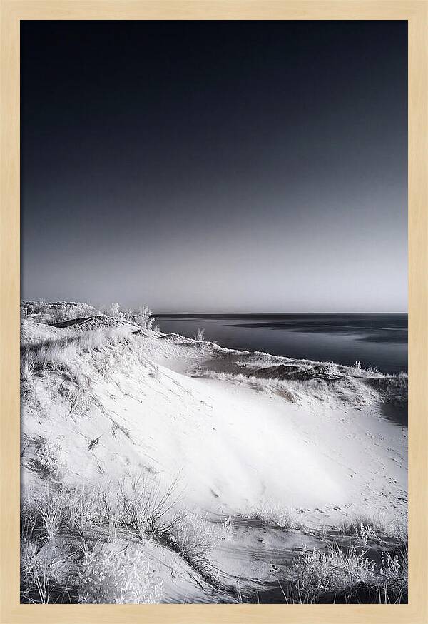 Curonian Spit Sand Dunes At Dusk