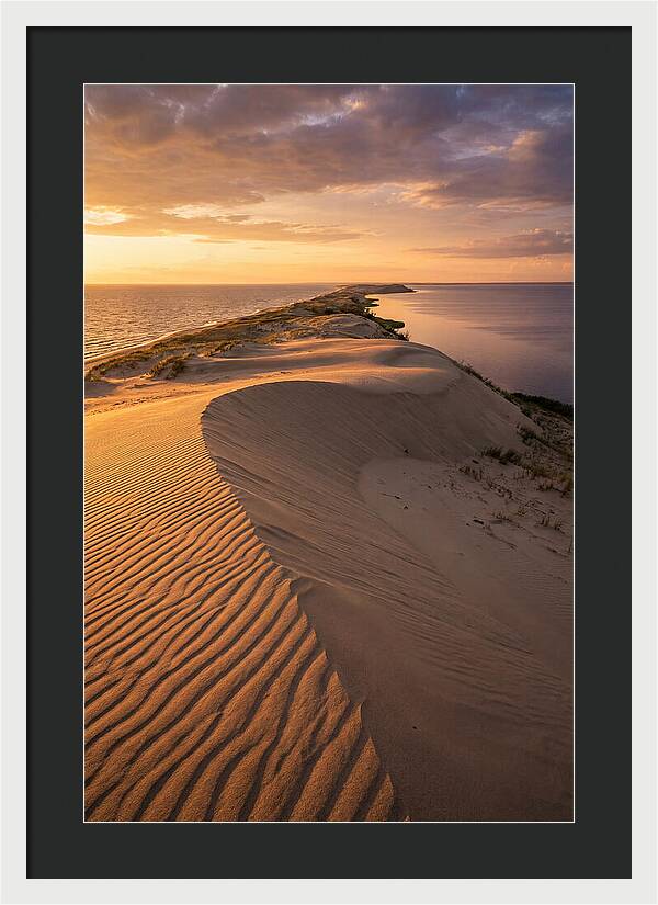 Curonian Spit Sand Dunes At Golden Hour