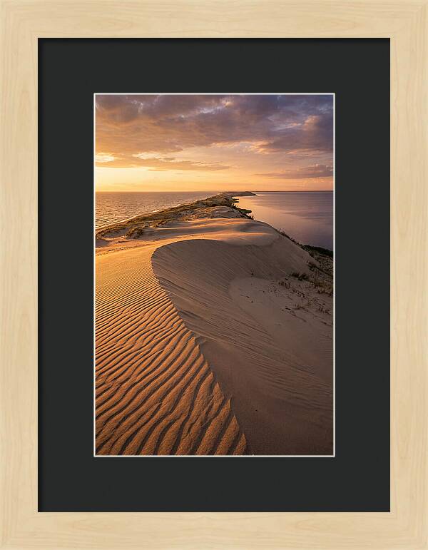 Curonian Spit Sand Dunes At Golden Hour