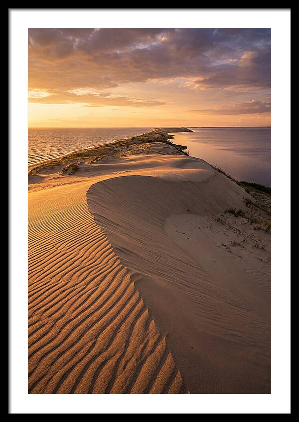 Curonian Spit Sand Dunes At Golden Hour