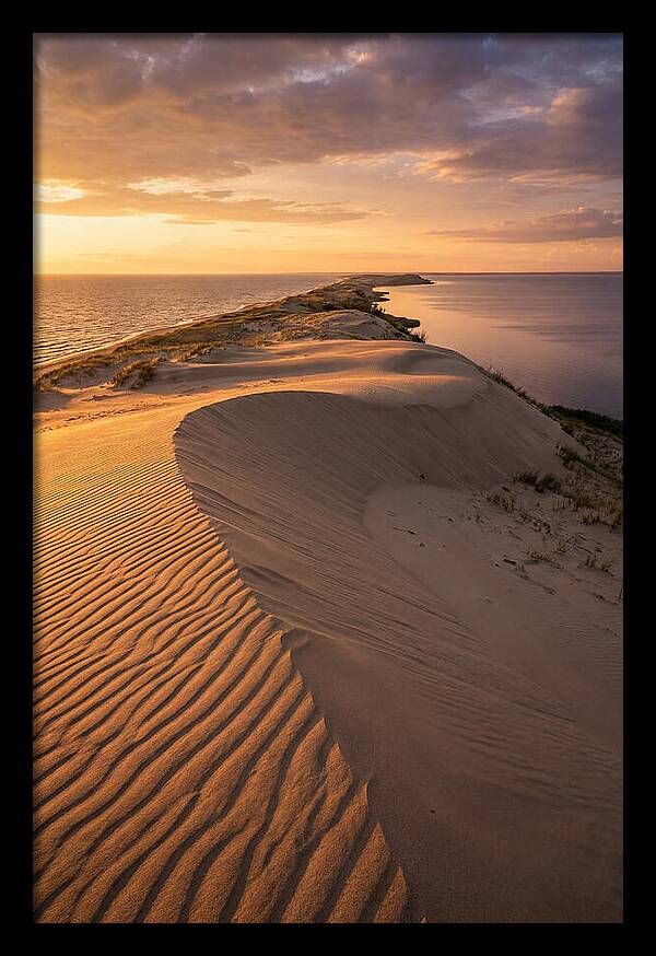 Curonian Spit Sand Dunes At Golden Hour