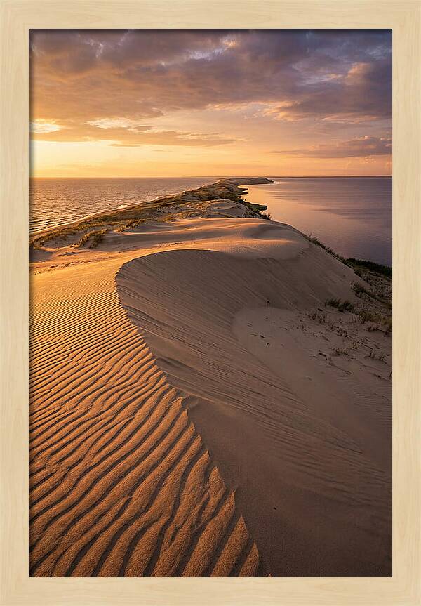 Curonian Spit Sand Dunes At Golden Hour