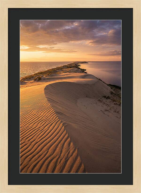 Curonian Spit Sand Dunes At Golden Hour