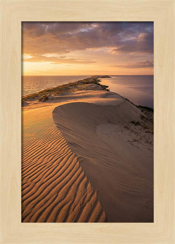 Curonian Spit Sand Dunes At Golden Hour