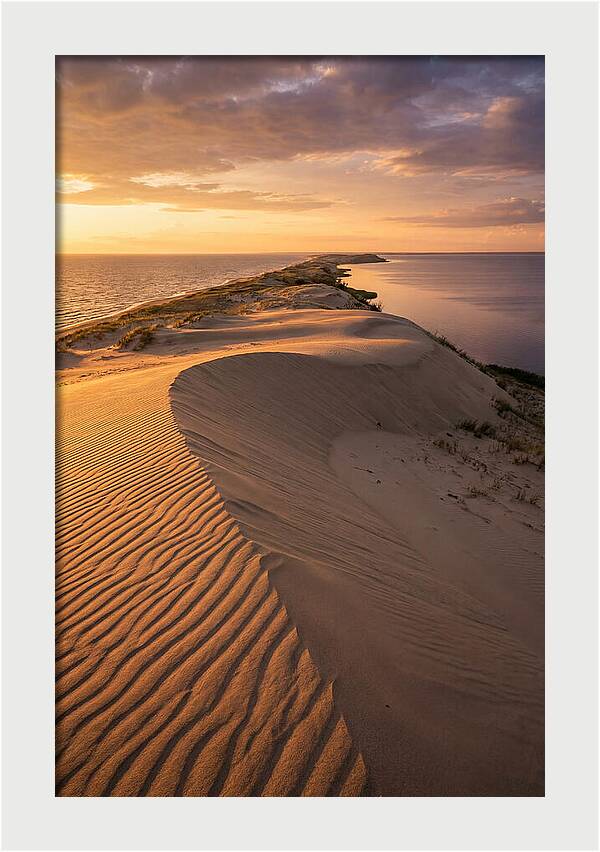 Curonian Spit Sand Dunes At Golden Hour